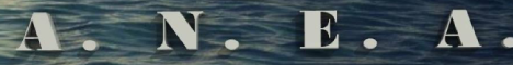 Mondo Banner